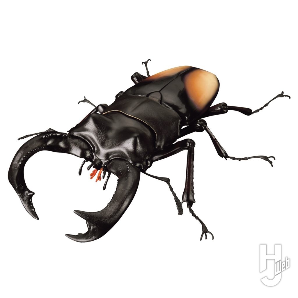 パリーフタマタクワガタのカプセルトイの画像