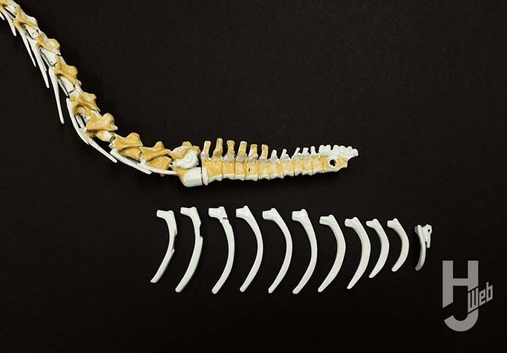 ウラベヒロト製作「ギラファティタン」製作途中肋骨