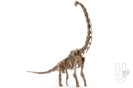 ブラキオサウルス属の顔「ギラファティタン」を復元!! その美しき骨格を「プラノサウルス ブラキオサウルス」を基に再現する！【プラノサウルス復元プロジェクト】