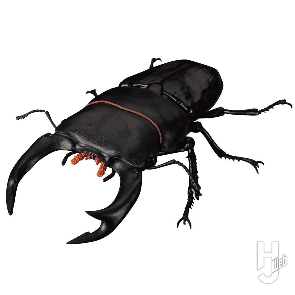 オオクワガタのカプセルトイの画像