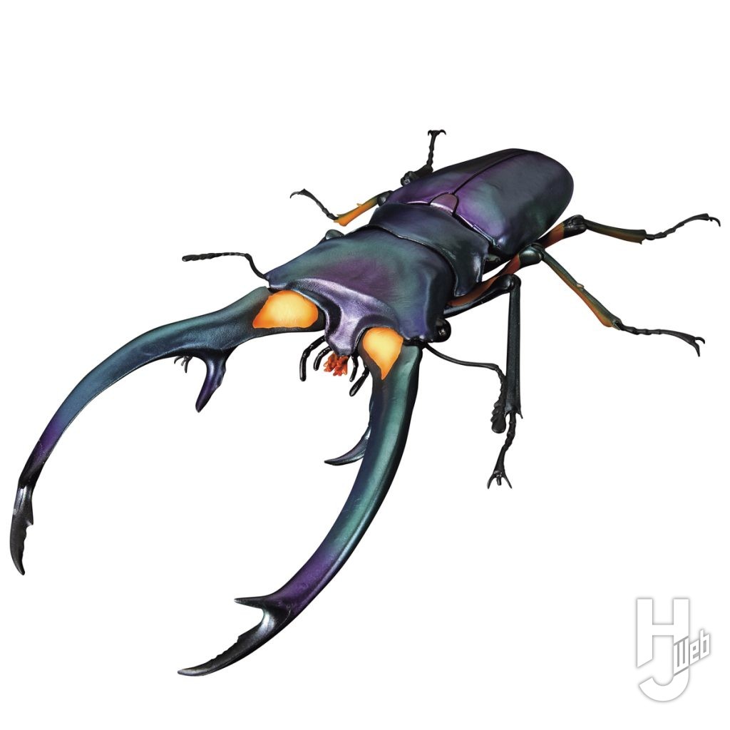 エラフスホソアカクワガタブルーの画像