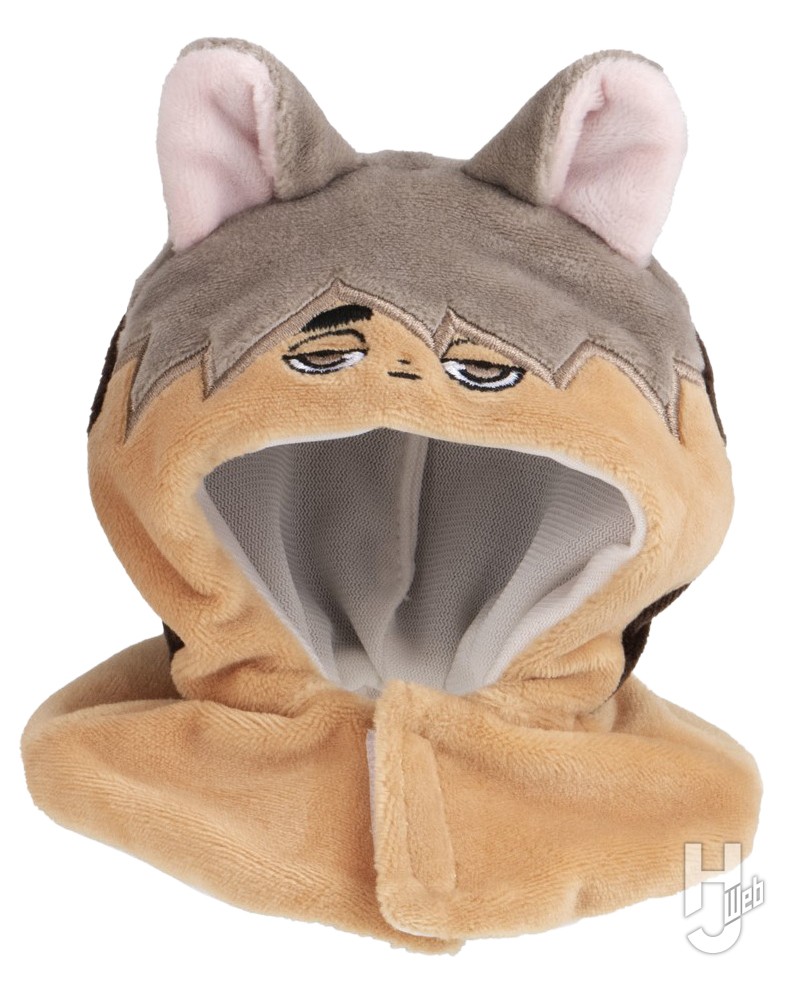 サムキツネのポンチョの画像