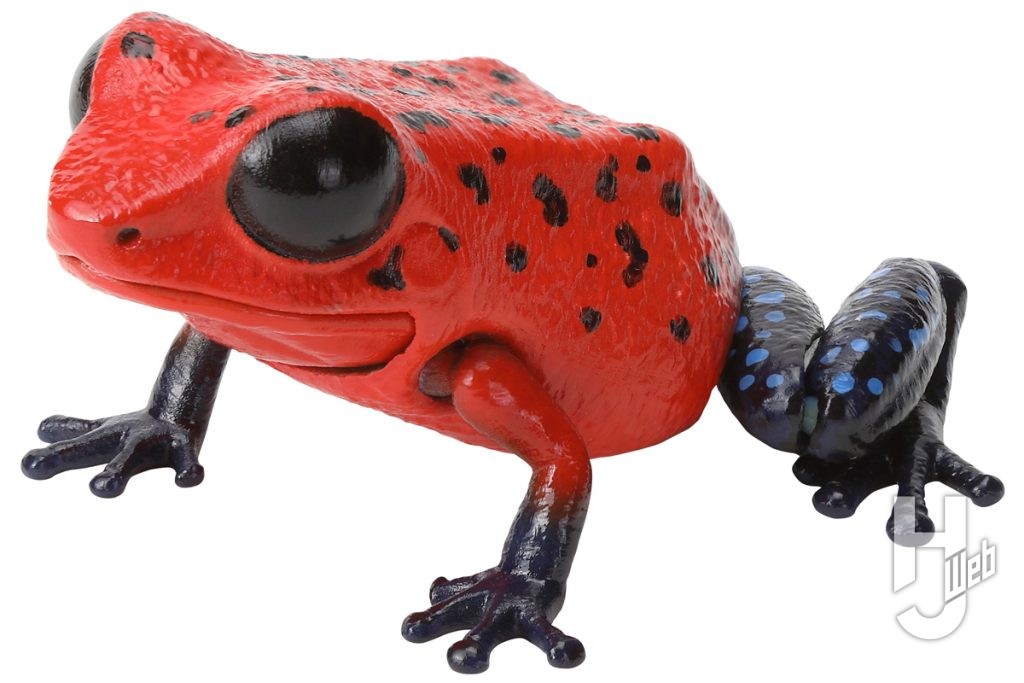 いきもの大図鑑レプティのイチゴヤドクガエルの画像