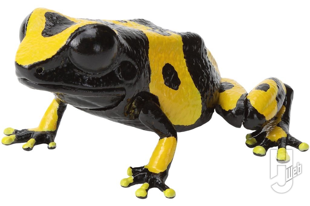 いきもの大図鑑レプティのキオビヤドクガエルの画像