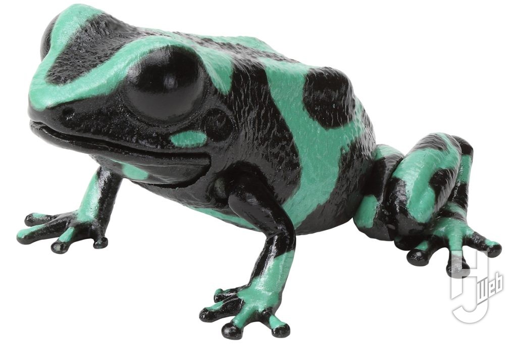 いきもの大図鑑レプティのマダラヤドクガエルの画像