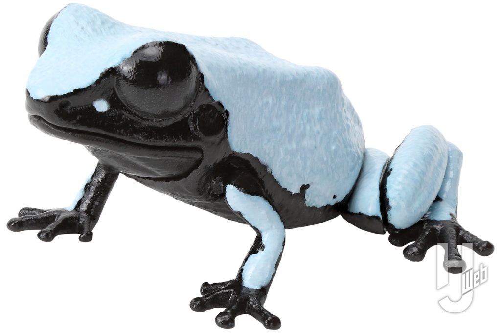 いきもの大図鑑レプティのセマダラヤドクガエルの画像