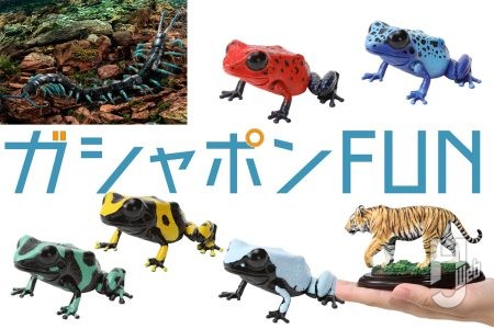 「いきもの大図鑑」新作は5種類の「ヤドクガエル」にアルティメットな巨大「リュウジンオオムカデ」！ディスプレイモデルには“ネコ科”動物4種が新登場【ガシャポン®最新情報】