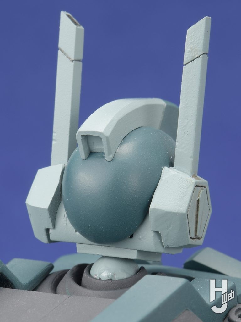 プロブディフの後頭部のアップ画像