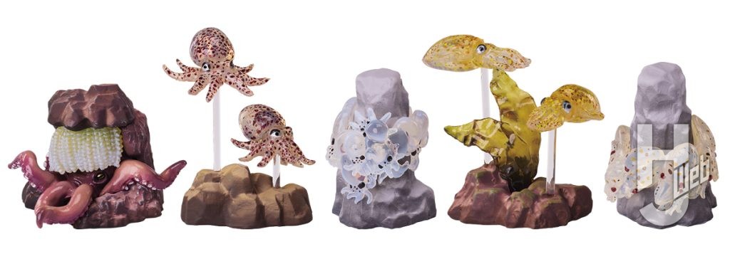 蛸と烏賊のカプセルトイの画像