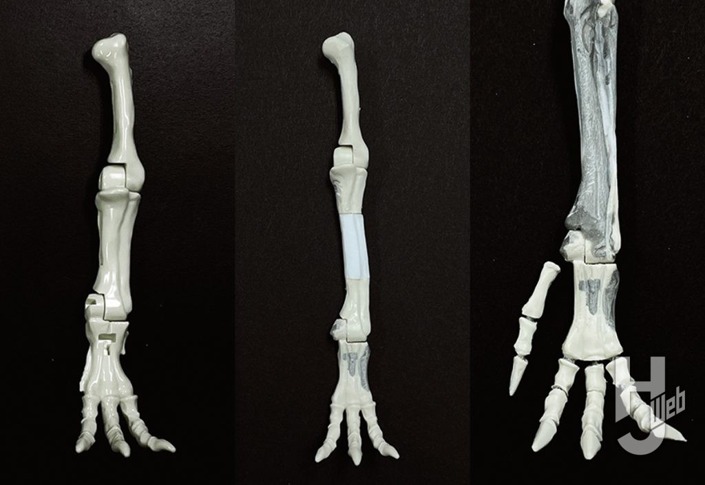 ウラベヒロト製作「ザヴァケファレ」製作途中後肢