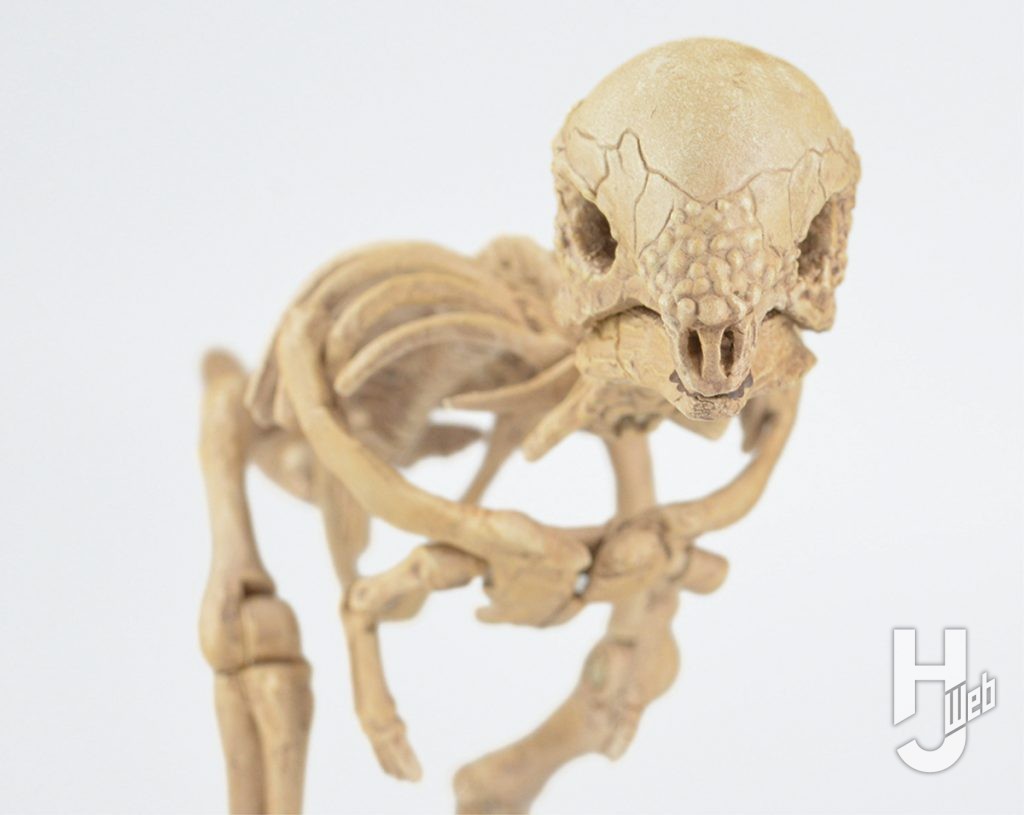 ウラベヒロト製作「ザヴァケファレ」正面顔アップ