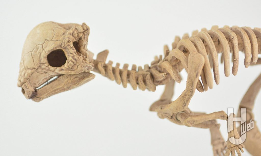 ウラベヒロト製作「ザヴァケファレ」顔アップ横