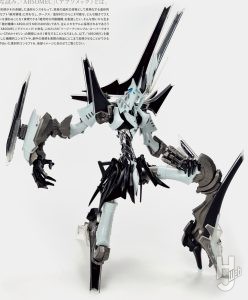 ABSOMECカイゼリン