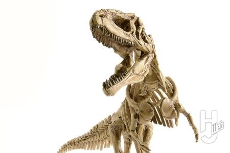 ティラノ超えの超巨大肉食恐竜「ギガノトサウルス」の骨格を復元！ 骨格図を基にプラキットをよりリアルに改修!!【プラノサウルス復元プロジェクト】