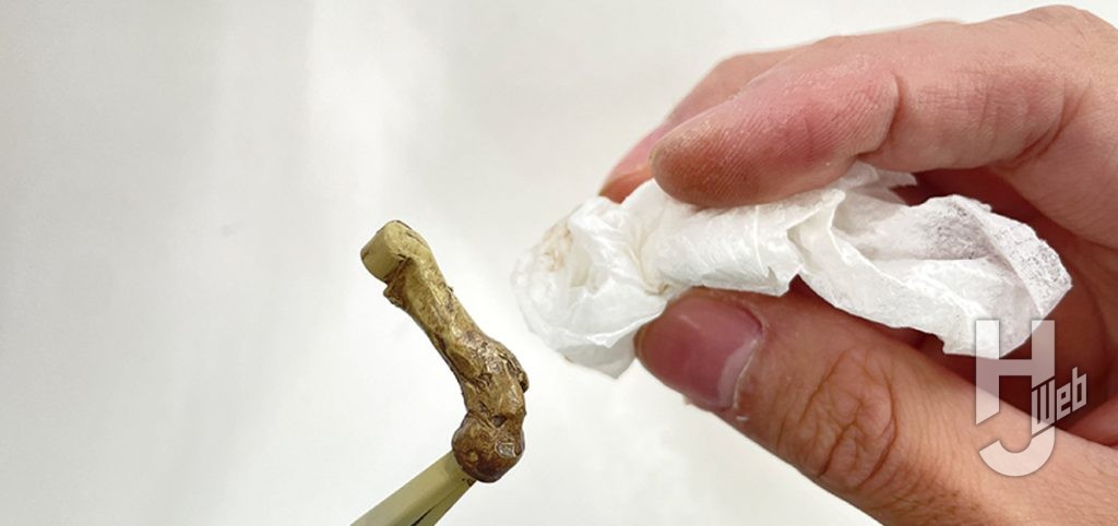 ウラベヒロト製作「ギガノトサウルス」塗装中3