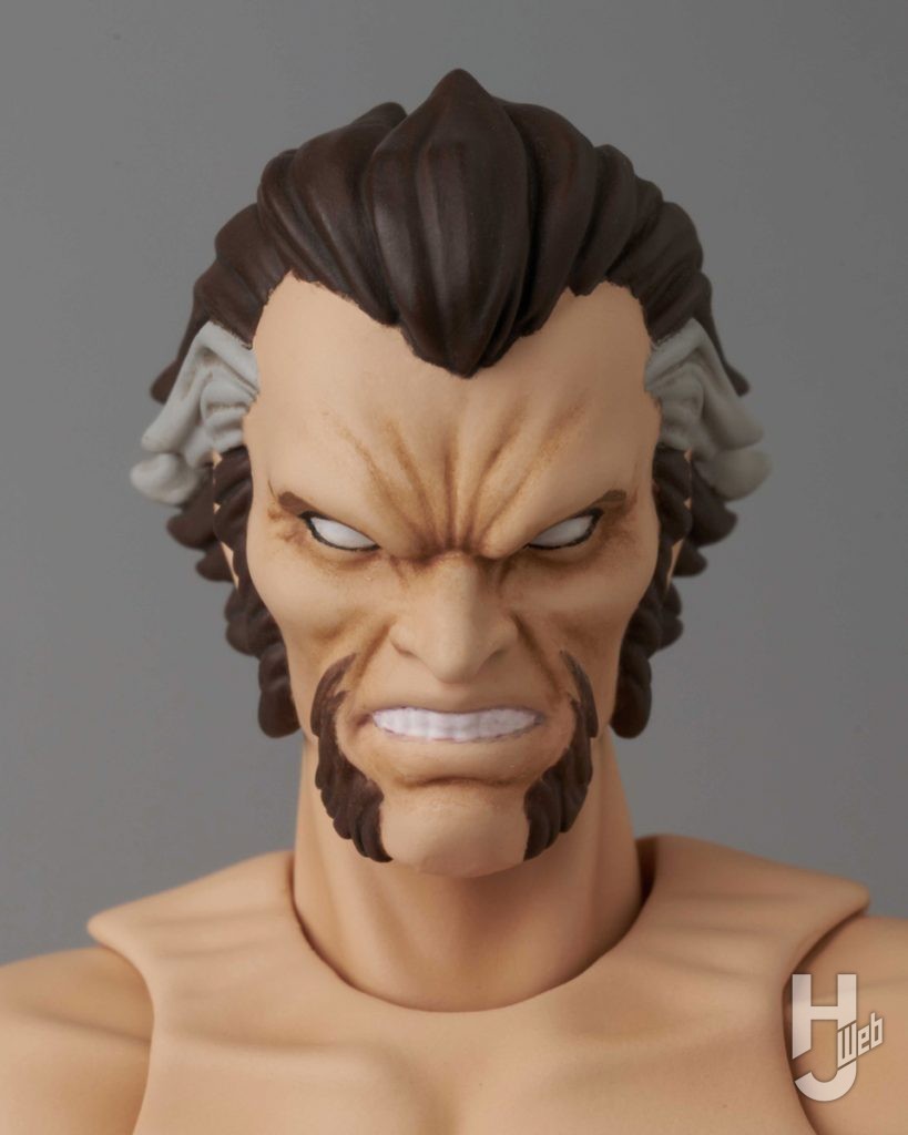 ラーズ・アル・グールの可動フィギュアの表情のアップ画像その3