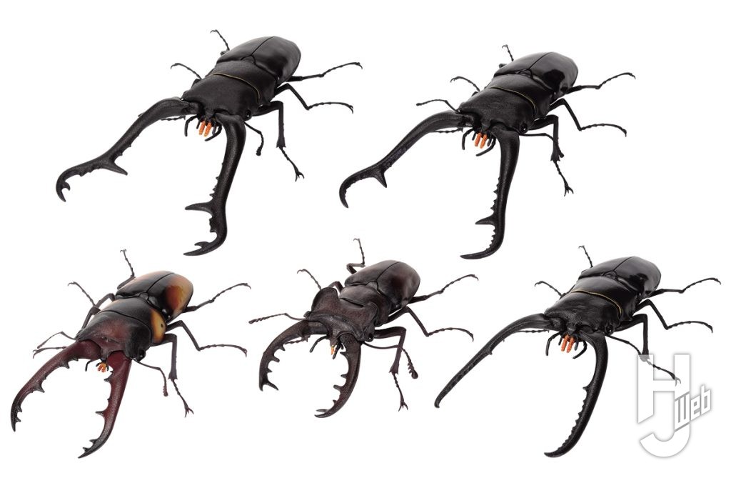 くわがたのミニフィギュアの画像