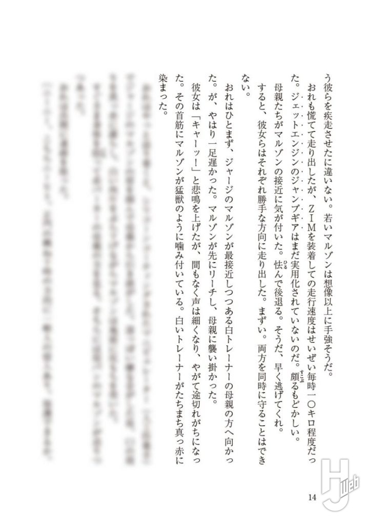 マルゾン上サンプル014p