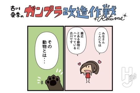 古川愛李のガンプラ改造作戦 Returns「ベアッガイF」