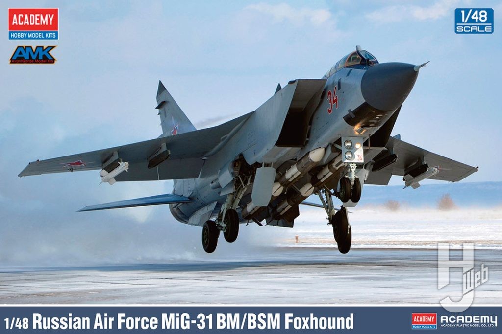 MiG-31 BM/BSM フォックスハウンド
