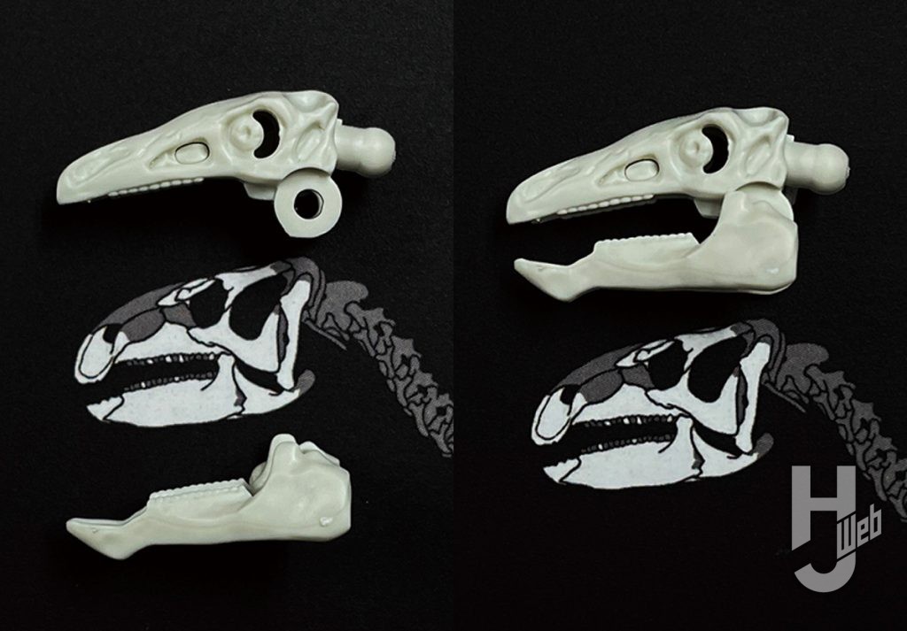 ウラベヒロト製作「フクイサウルス」頭部製作途中