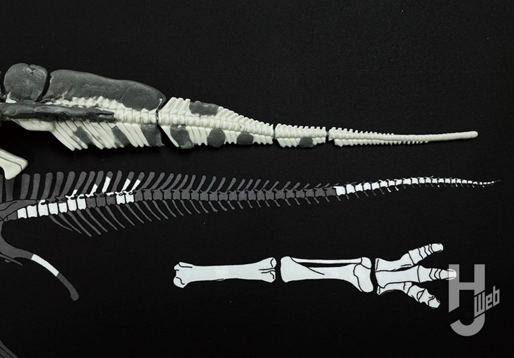 ウラベヒロト製作「フクイサウルス」尾製作途中2