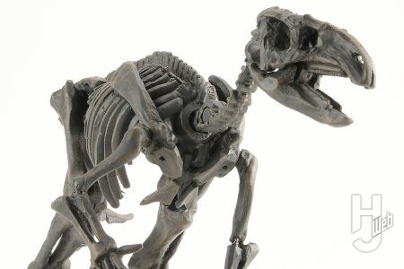 福井県産恐竜の代表「フクイサウルス」を復元!! 「プラノサウルス　パラサウロロフス」を基に最新骨格をプラキットで再現！【プラノサウルス復元プロジェクト】