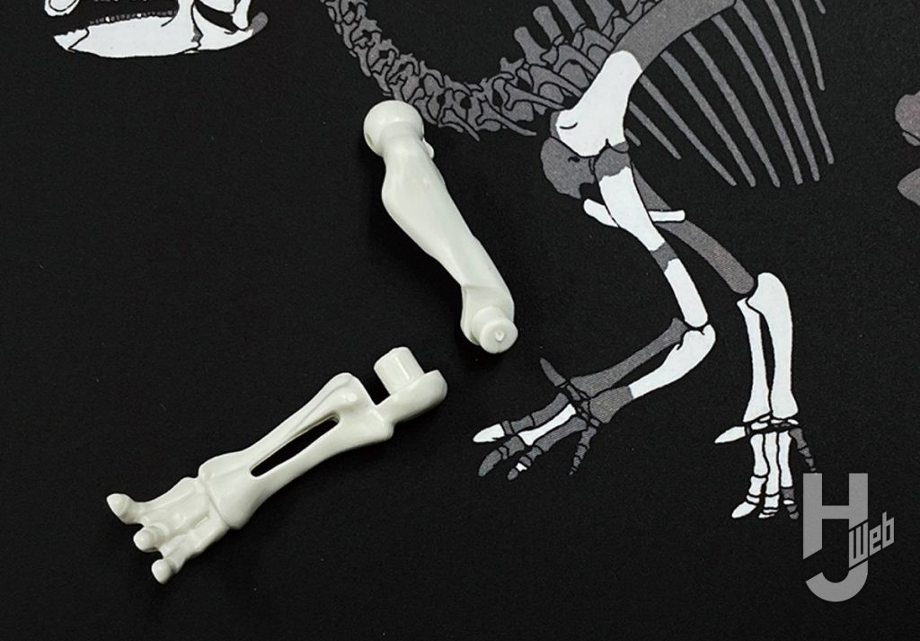 ウラベヒロト製作「フクイサウルス」前肢製作途中