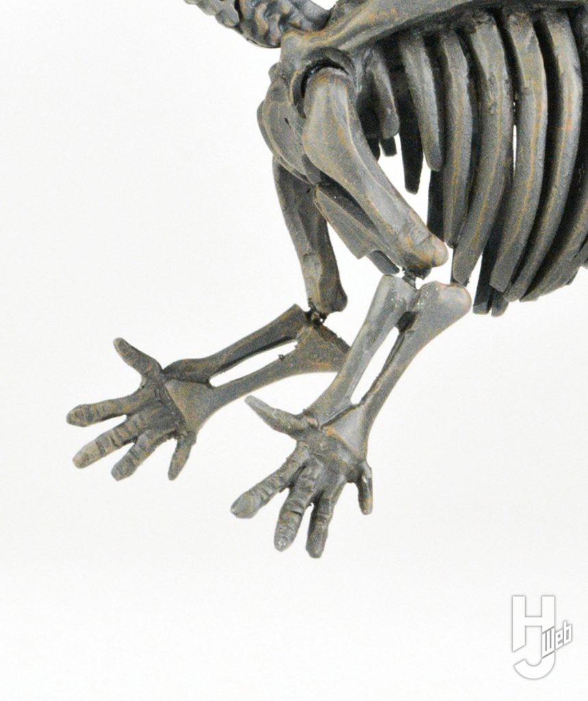 ウラベヒロト製作「フクイサウルス」前肢