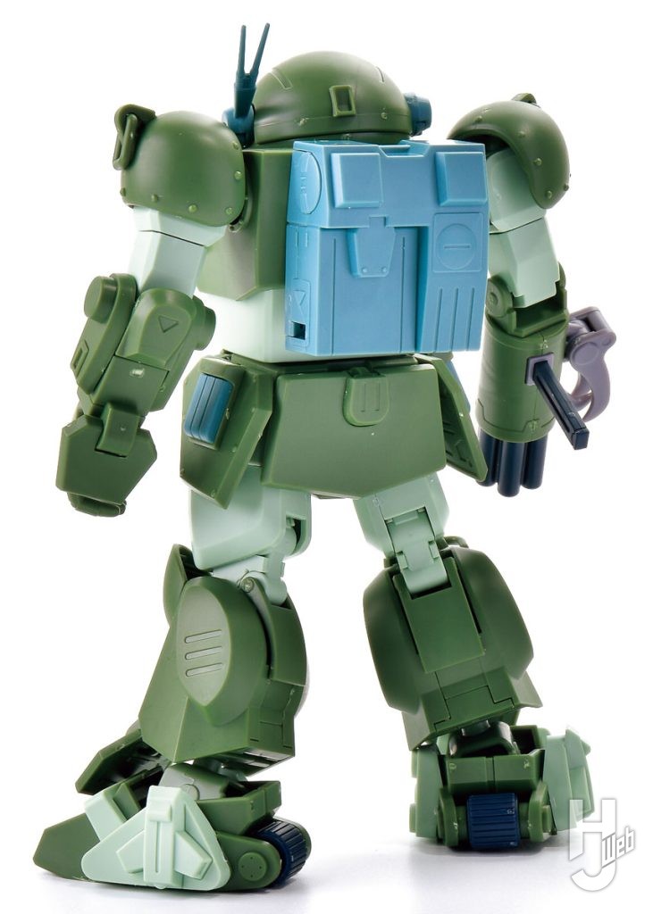 ブルーティッシュドッグ（緑）
後ろ