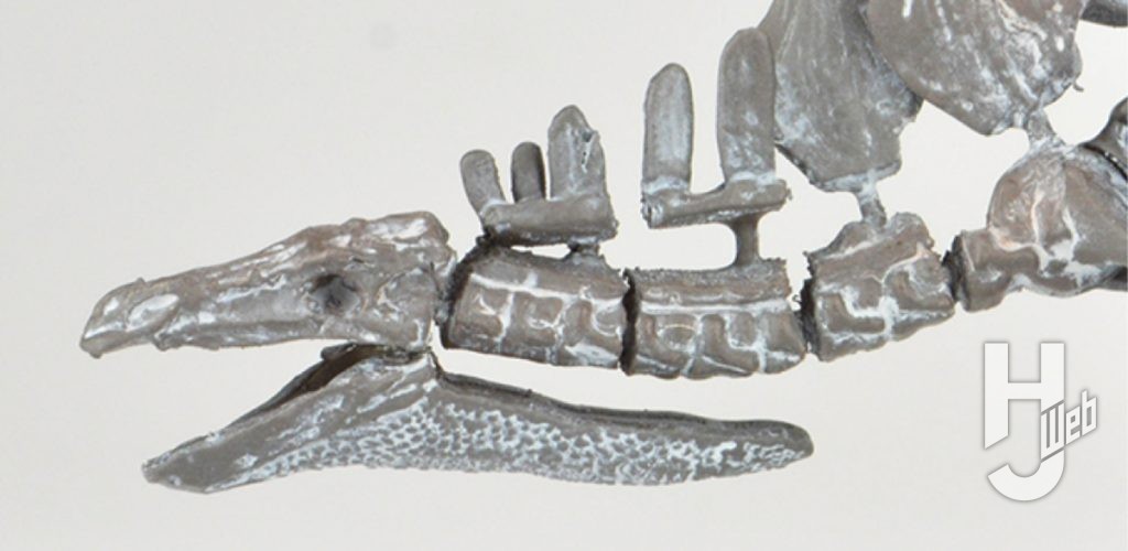 ウラベヒロト製作「ステゴサウルス」顔アップ