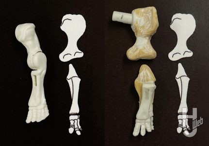 ウラベヒロト製作「ステゴサウルス」製作途中前肢