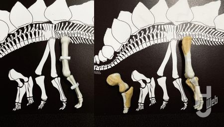 ウラベヒロト製作「ステゴサウルス」製作途中後肢