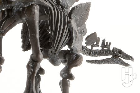 巨大なプレートが特徴的な「ステゴサウルス」を復元!! 近年の研究で明らかになった特徴を盛り込んだ最新版骨格をプラキットで再現！【プラノサウルス復元プロジェクト】