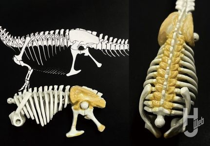 ウラベヒロト製作「アロサウルス」製作中途骨盤や腸骨周辺