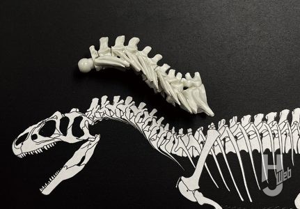 ウラベヒロト製作「アロサウルス」製作中途頸肋骨