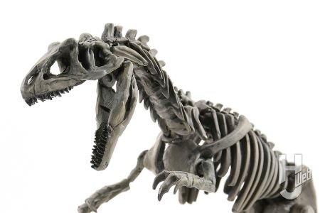 ステゴサウルスの好敵手「アロサウルス」を復元!!「プラノサウルス ギガノトサウルス」を改造して最新版骨格を再現！【プラノサウルス復元プロジェクト】