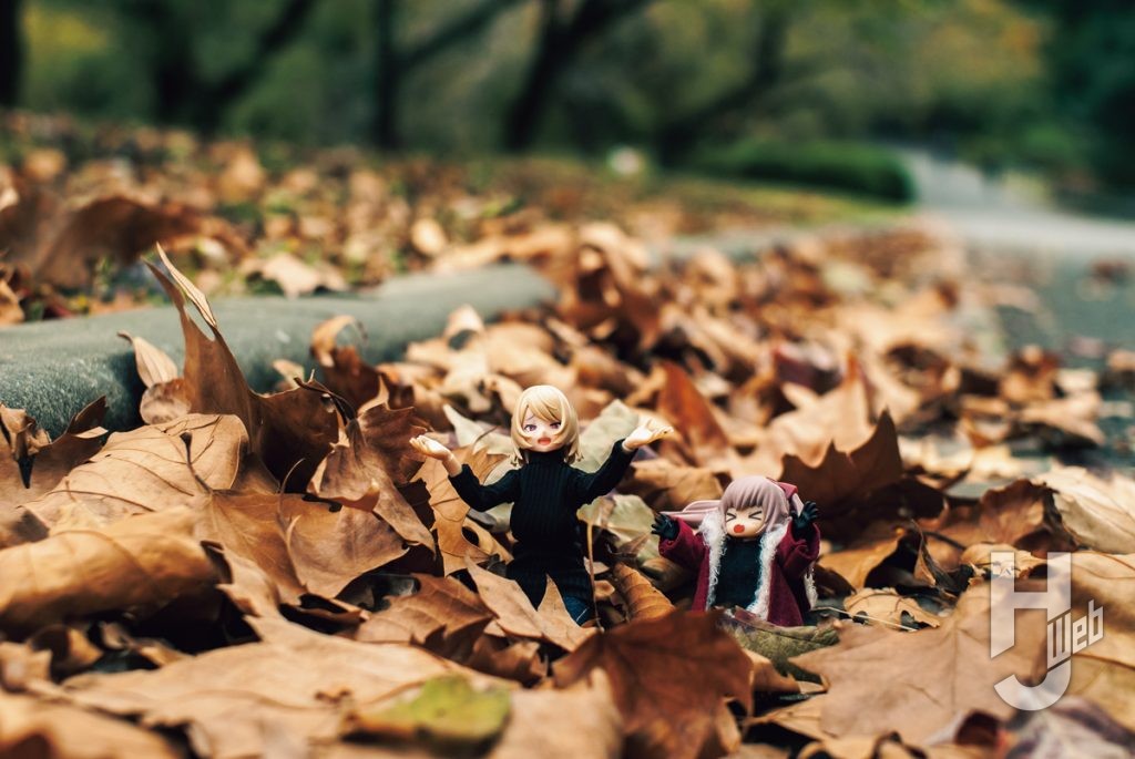 ソルト流写真「エクソシストとDTAイノセンティア秋」