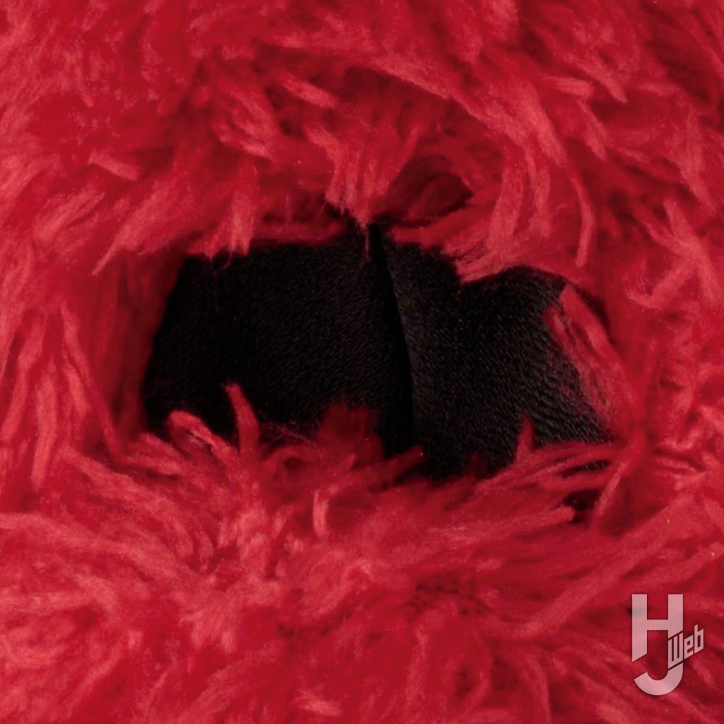 ムックのフィギュアの目元の口元のアップ画像