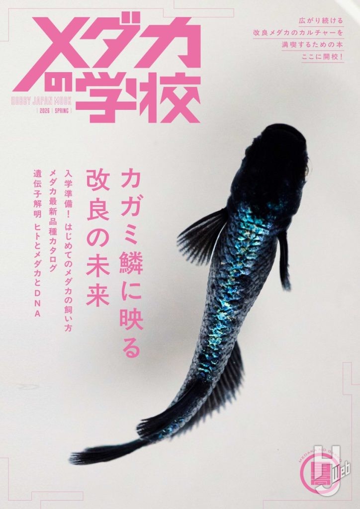 メダカの学校26春表紙