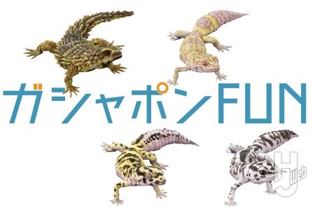 【いきもの大図鑑】爬虫類シリーズの中でも反響の大きかったアルマジロトカゲ、レオパードゲッコー、ニシアフリカトカゲモドキを集めたセレクテッドエディションが登場！【ガシャポン®最新情報】