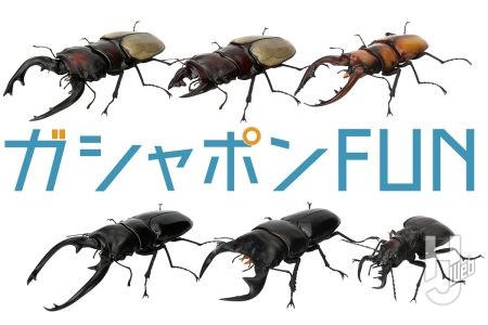 原型はクワガタの標本をスキャンして製作！いきもの大図鑑「くわがた」最新作に「フェモラリスツヤクワガタ」「アンタエウスオオクワガタ」などがラインナップ！可動ギミックにも注目【ガシャポン®最新情報】