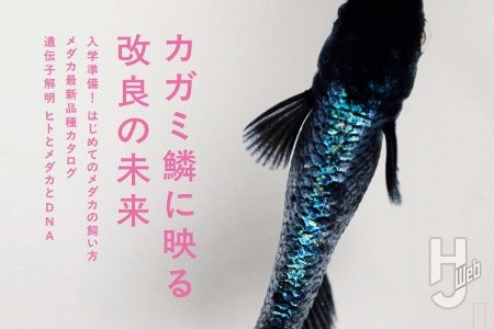 【本日発売】「メダカの学校 2026 SPRING」【HJいきもの部】