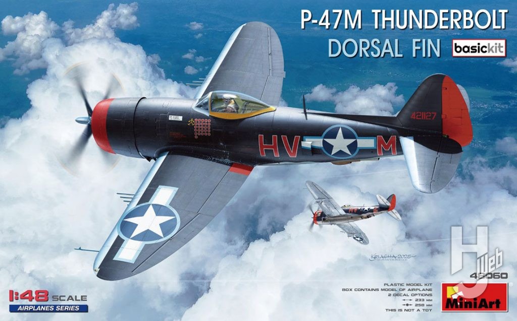 P-47M サンダーボルト ドーサルフィンベーシックキット
