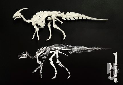 ウラベヒロト製作「カムイサウルス」製作中