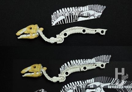 ウラベヒロト製作「カムイサウルス」製作中棘突起