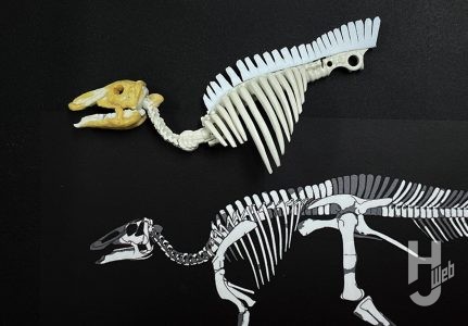 ウラベヒロト製作「カムイサウルス」製作中肋骨