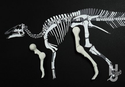 ウラベヒロト製作「カムイサウルス」製作中四肢