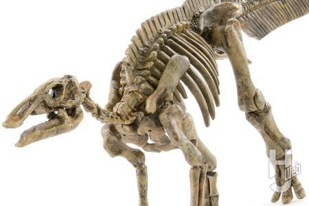 北海道で発掘された大型恐竜「カムイサウルス」を復元!!「プラノサウルス パラサウロロフス」を改造して日本最大級の全身骨格を再現！【プラノサウルス復元プロジェクト】