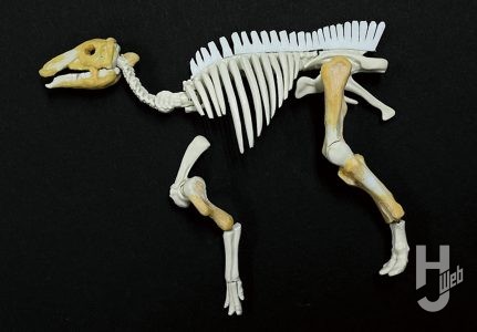 ウラベヒロト製作「カムイサウルス」製作中関節
